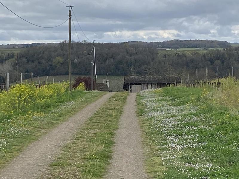 Demeure - 230 m² - 6 pièces