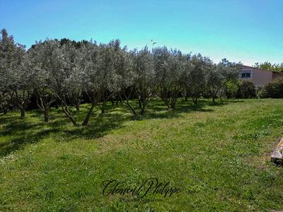 Grange - 1 650 m² - 2 pièces