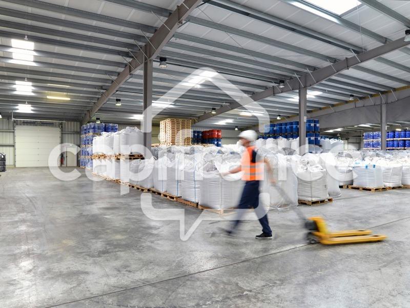 Local d'activité / Entrepôt - 380 m² - 1 pièce