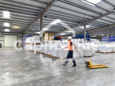 Local d'activité / Entrepôt - 380 m² - 1 pièce