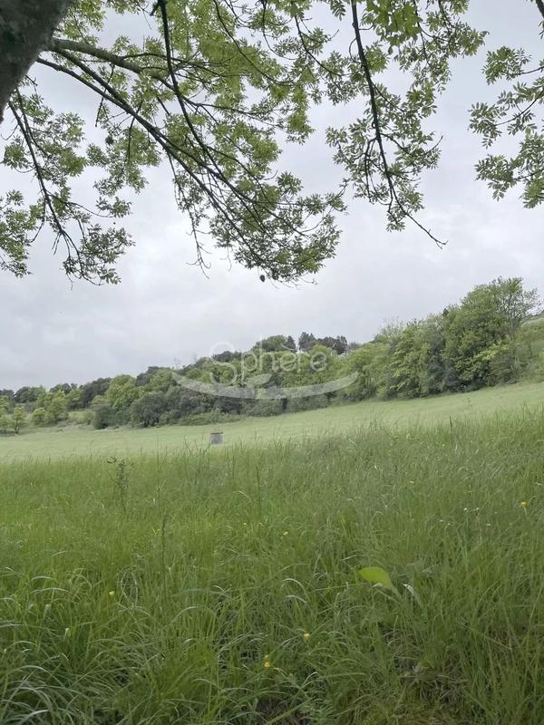 Ferme - 340 m² - 8 pièces