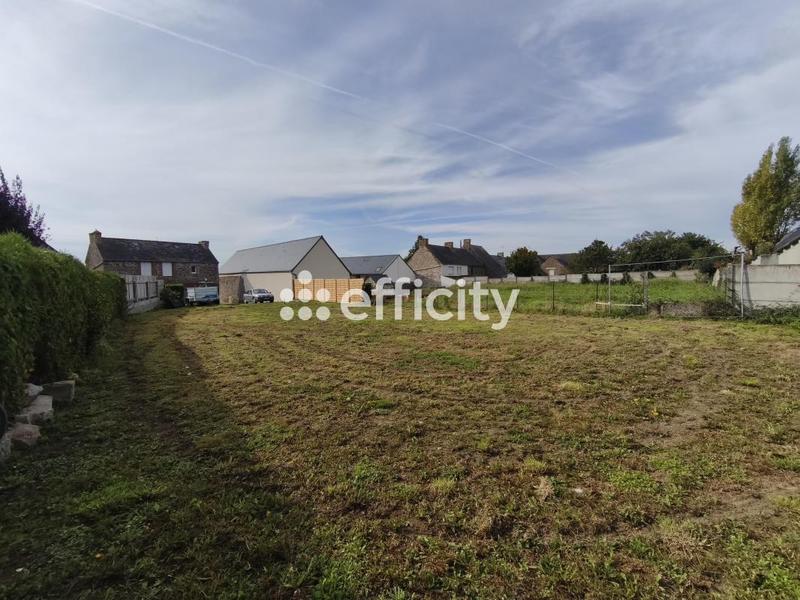 Terrain - 350 m²