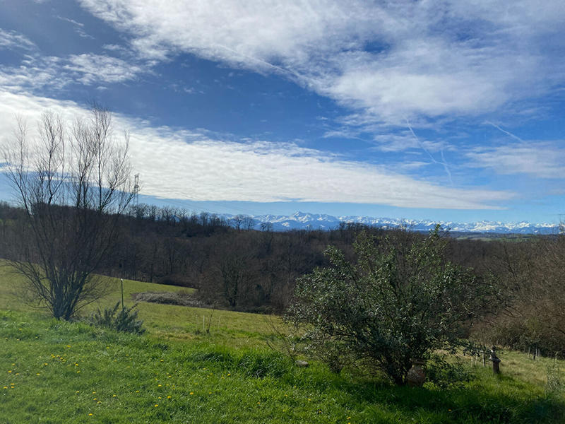 Maison - 320 m² - 12 pièces