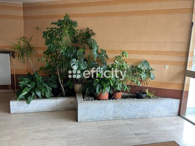 Appartement - 25 m² - 1 pièce