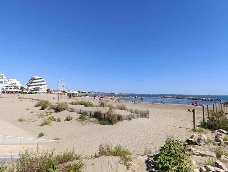 Appartement - 29 m² - 1 pièce