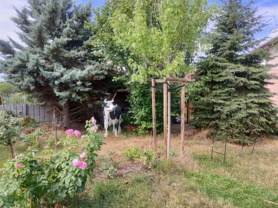 Maison - 200 m² - 9 pièces