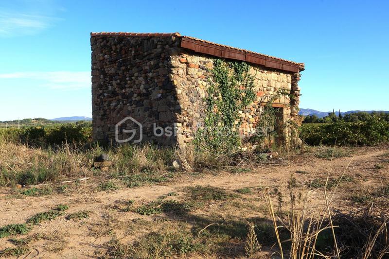 Terrain - 87 173 m²