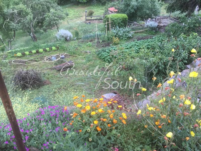 Gîte - 285 m² - 14 pièces