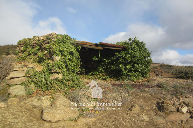 Terrain agricole - 8 700 m²