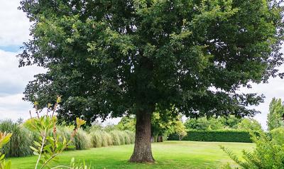 Maison - 141 m² - 7 pièces