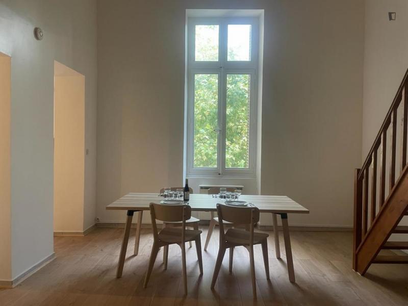 Appartement - 50 m² - 1 pièce