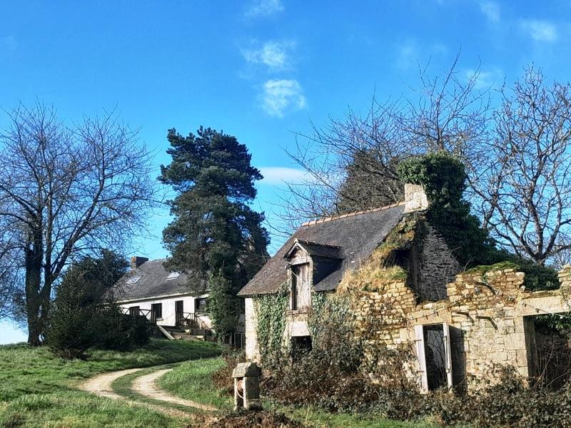 Maison de domaine équestre - 160 m² - 7 pièces