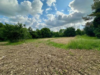 Terrain constructible - 1 017 m²