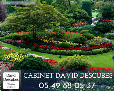 Local commercial - 132 m²