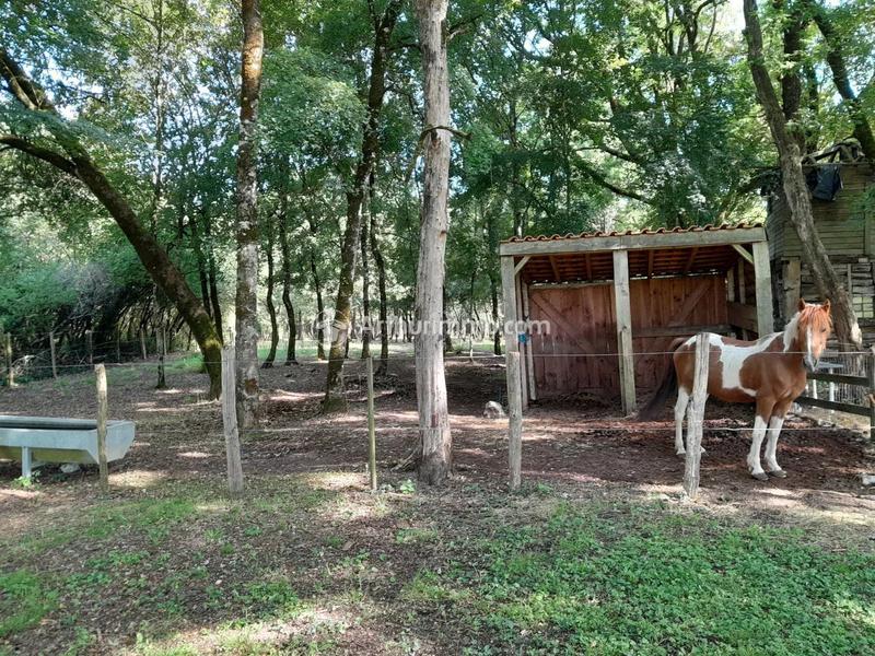 Maison - 183 m² - 8 pièces