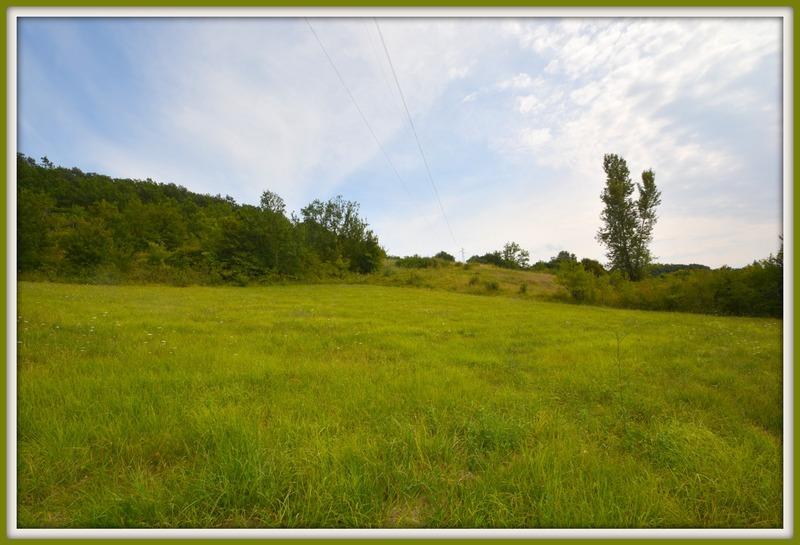 Terrain constructible - 1 646 m²