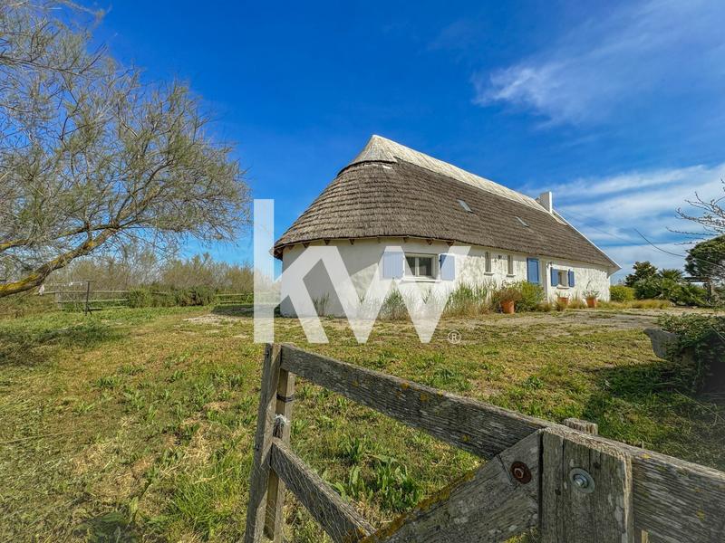 Propriété - 166 m² - 9 pièces