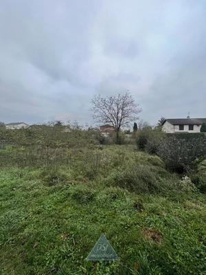 Terrain - 1 227 m²