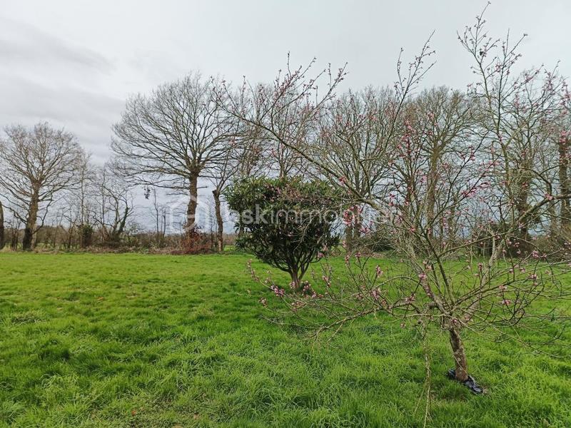 Maison - 195 m² - 7 pièces