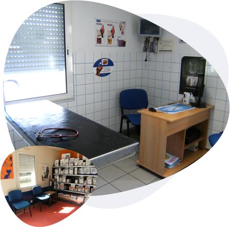 Clinique Vétérinaire des Mille Etangs