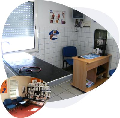 Clinique Vétérinaire des Mille Etangs