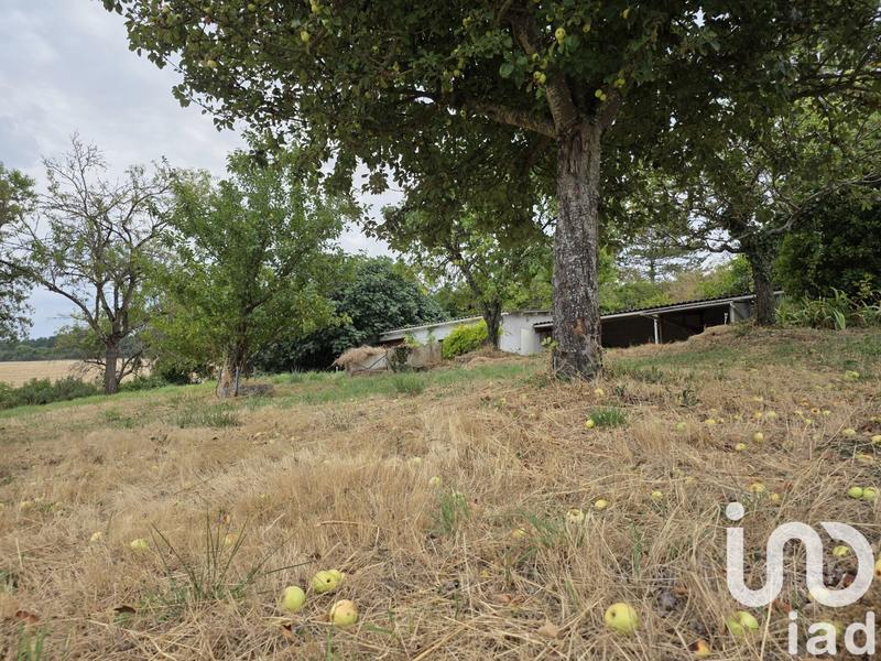 Maison de campagne - 131 m² - 4 pièces