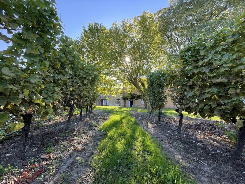 Maison traditionnelle - 200 m² - 8 pièces