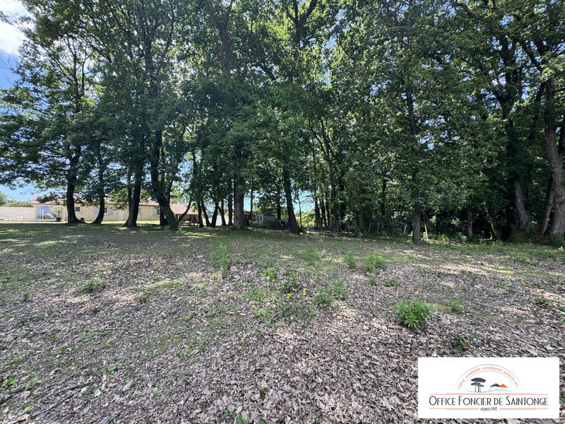 Maison traditionnelle - 240 m² - 8 pièces