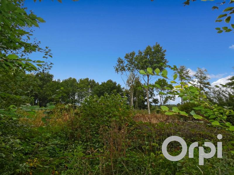 Terrain constructible - 2 207 m²