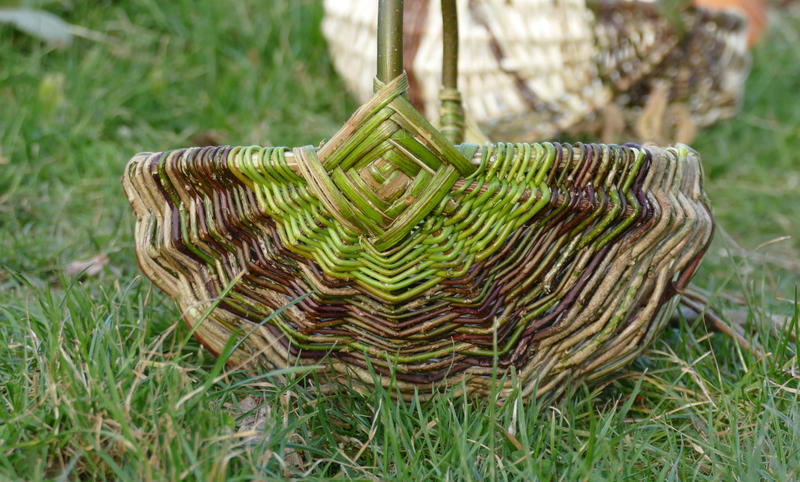 Stage de Vannerie sauvage, récolte et tressage