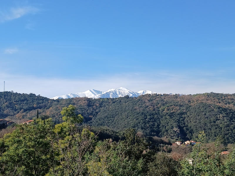 Maison - 42 m² - 3 pièces