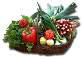 Petit marché traditionnel de Nérac