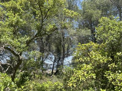 Terrain de loisirs - 8 590 m²