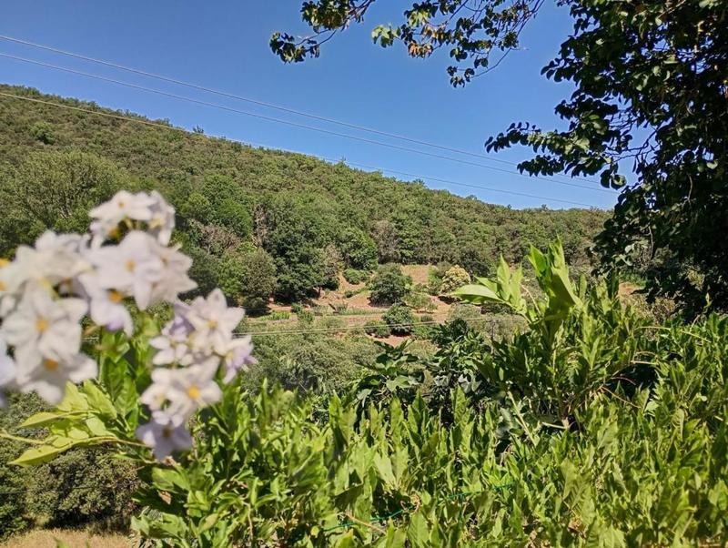 Mas - 134 m² - 5 pièces