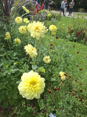 Promenade : les lieux pittoresques au Centre de Paris