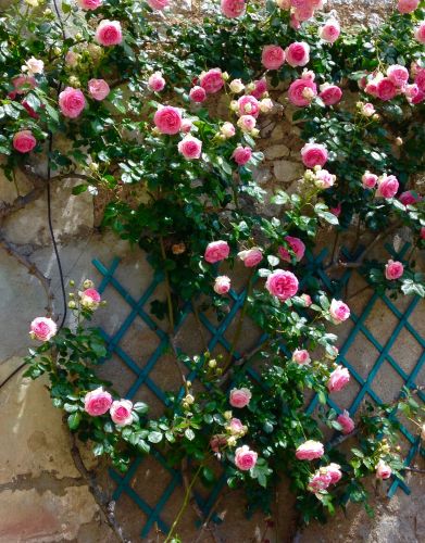 Fleurd'O maison d'hôtes