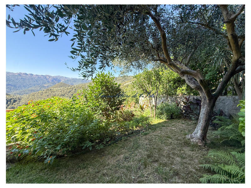 Maison - 327 m² - 11 pièces