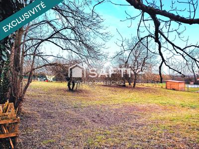 Terrain - 1 241 m²