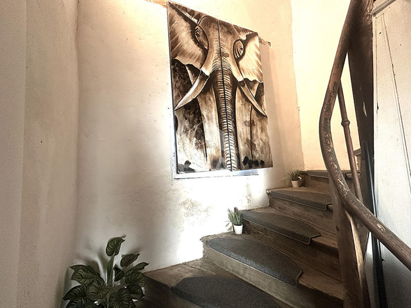 Maison - 226 m² - 12 pièces