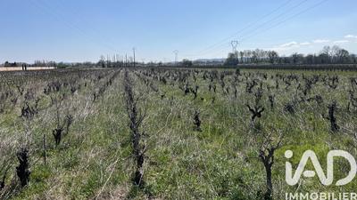 Terrain agricole - 5 160 m²