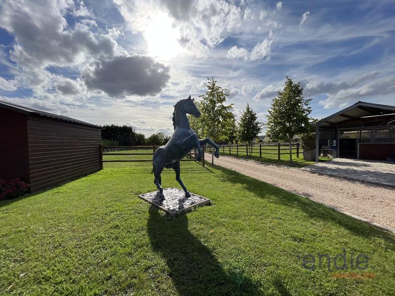 Haras - 250 m² - 7 pièces