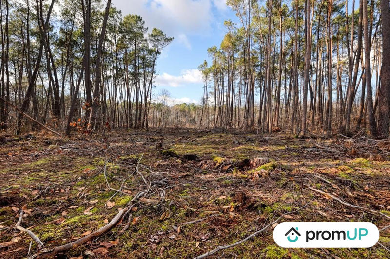 Terrain de loisirs - 1 570 m²