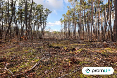 Terrain de loisirs - 1 570 m²