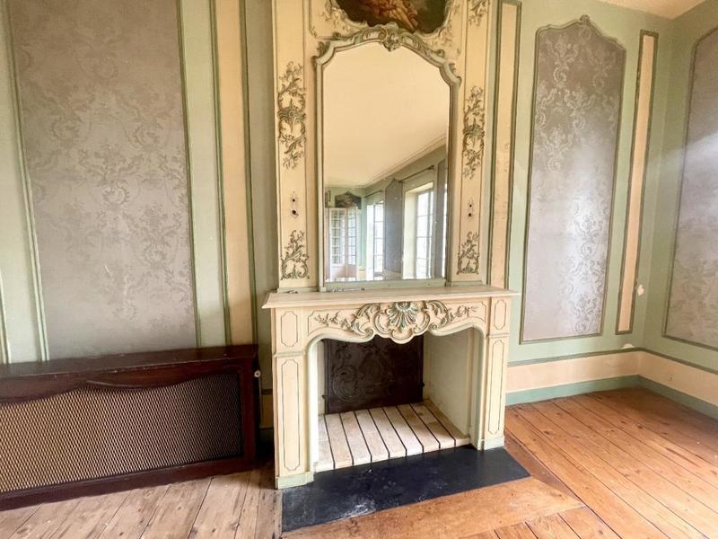 Hôtel particulier - 471 m² - 14 pièces