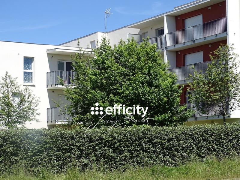 Appartement - 56 m² - 3 pièces