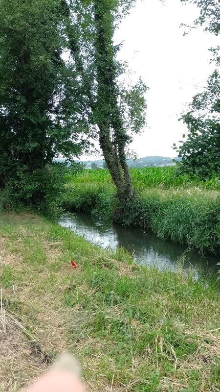 Terrain constructible - 1 920 m²