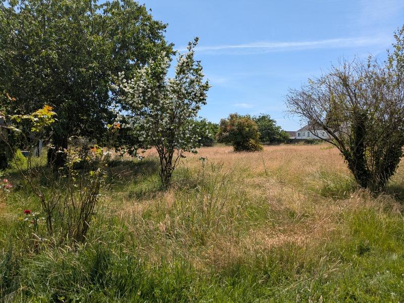 Maison - 80 m² - 3 pièces