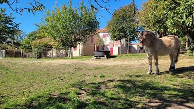 Maison - 118 m² - 6 pièces