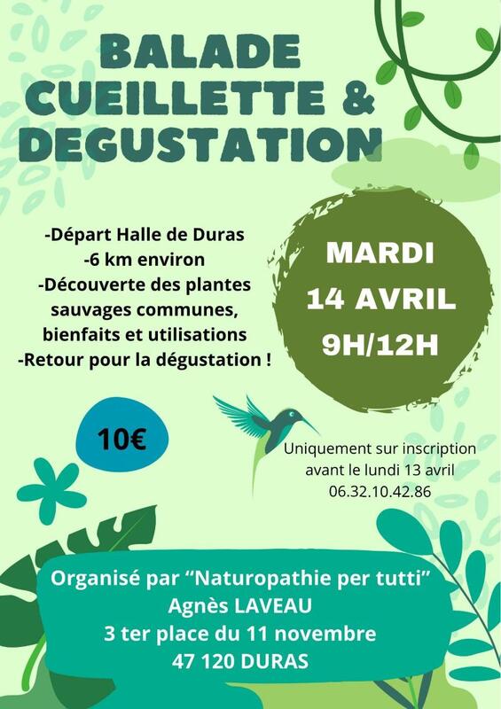 Balade, cueillette et dégustation avec Agnès de Naturopathie per tutti