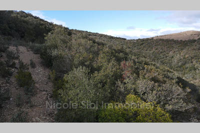 Terrain - 11 396 m²